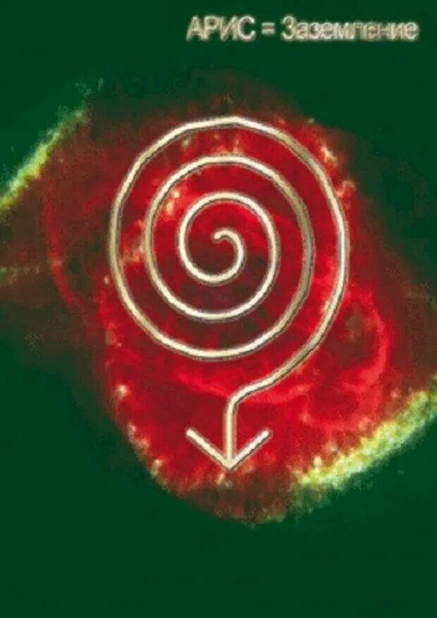 Фрактал спираль. Звезда мелхиседека многомерная. Спираль кристалла. 48131-52a50. Процесс роста кристалла.