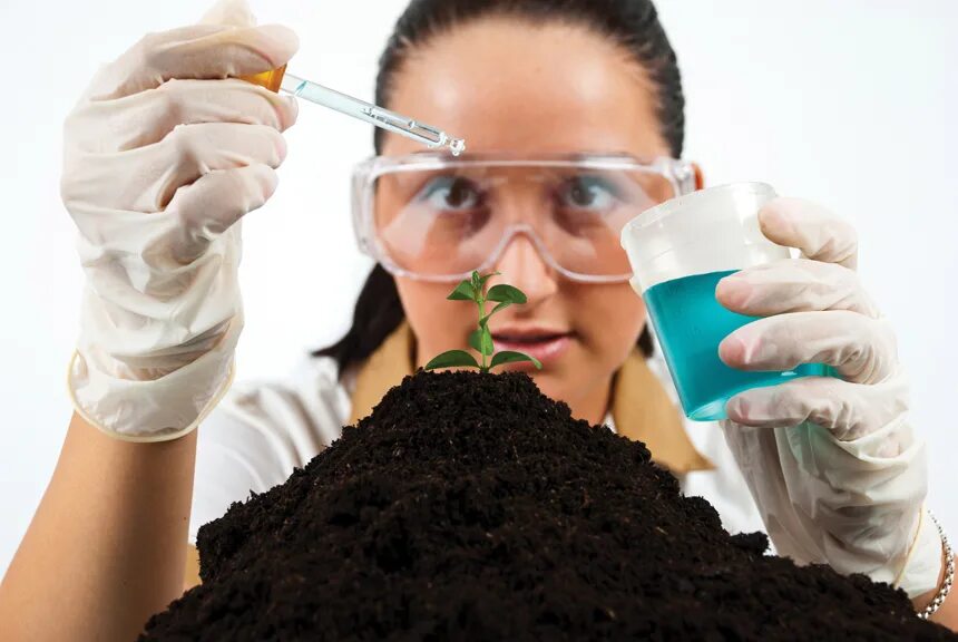 Ученые экологи. Рабочий зеленого строительства. Профессия овощевод и цветовод. Ученые биологи. Работа связанная с растениями.