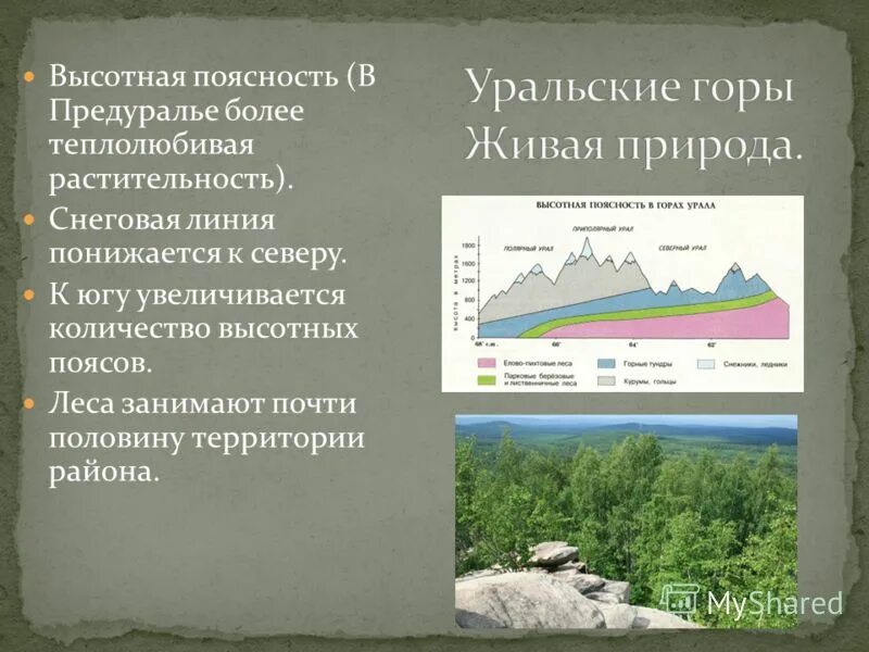 Природная поясность урала. Высотная поясность уральских гор гор. Высотная поясность уральских гор таблица. Уральские горы Высотная поясность. Высотная поясность гор Урала.