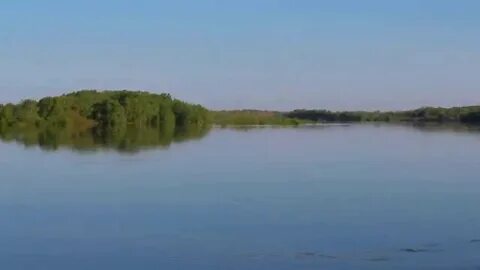 Дон разольется поет