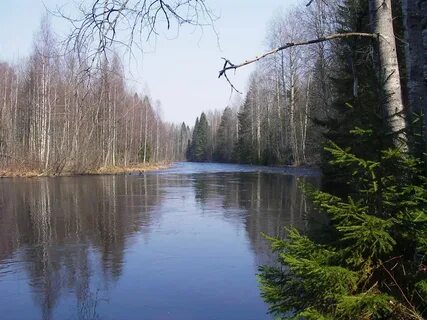 Лидь