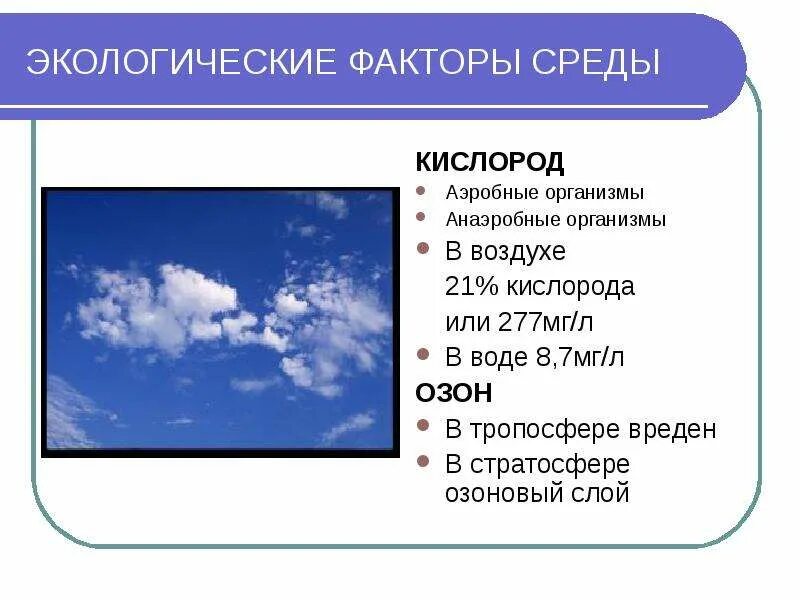 Озон в тропосфере. Экологический фактор кислород. Кислород в окружающей среде. Источники озона в тропосфере.