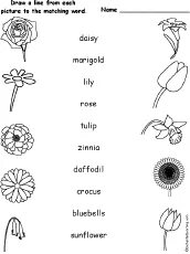 Flower exercise. Flowers Worksheets. Plants растения Worksheets for Kids. Flowers in English Worksheet. Flowers Worksheet for Kids.