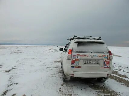 Дром дейли