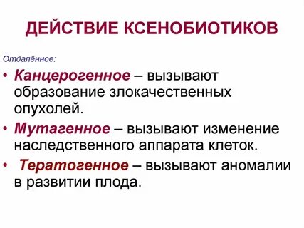 Ксенобиотики