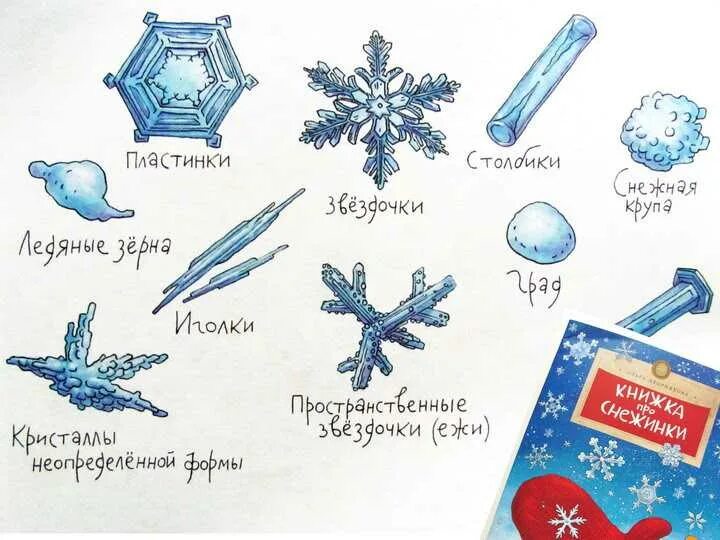 Классификация снежных кристаллов. Основные формы снежинок. Девять основных форм снежных кристаллов. Основные формы снежинок. Формы снежинок названия.