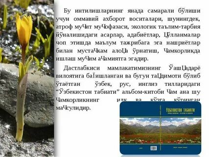 Эссе табиати