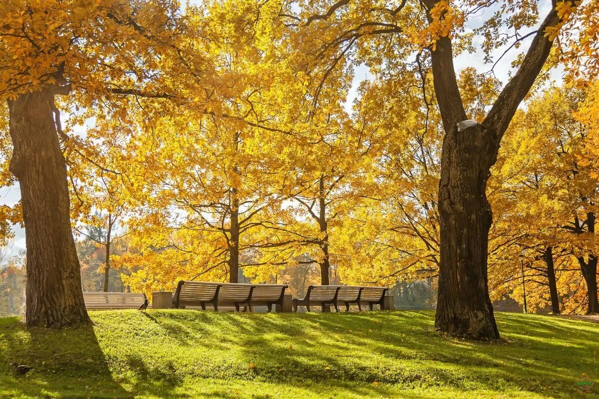 новостройки осень. климатическая карта черного моря. солнечная осень в городе. температурный рекорд осенью картинка ставрополье. листопад в подмосковье.