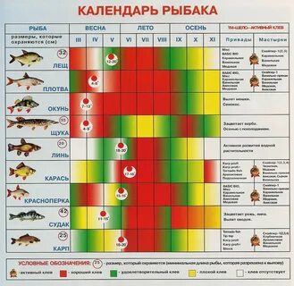 Календарь рыбака в таблицах: скачать и распечатать.
