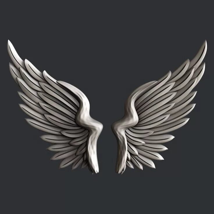 Wing model