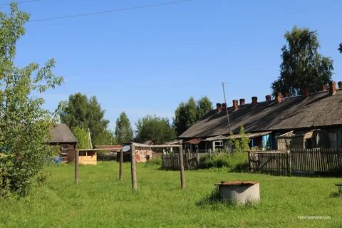 Большая грива томская область