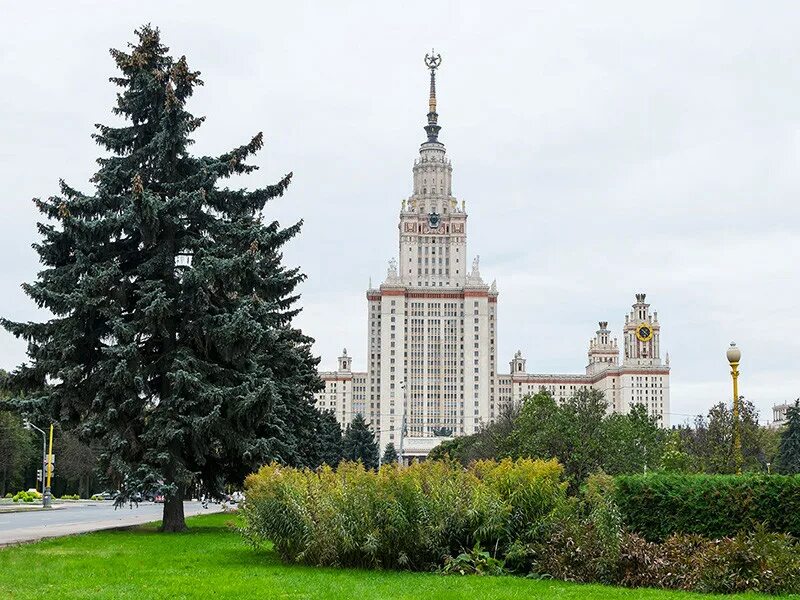 Мгу приняло. МГУ. Аллея учёных МГУ. Николаева МГУ. Выпускники МГУ.