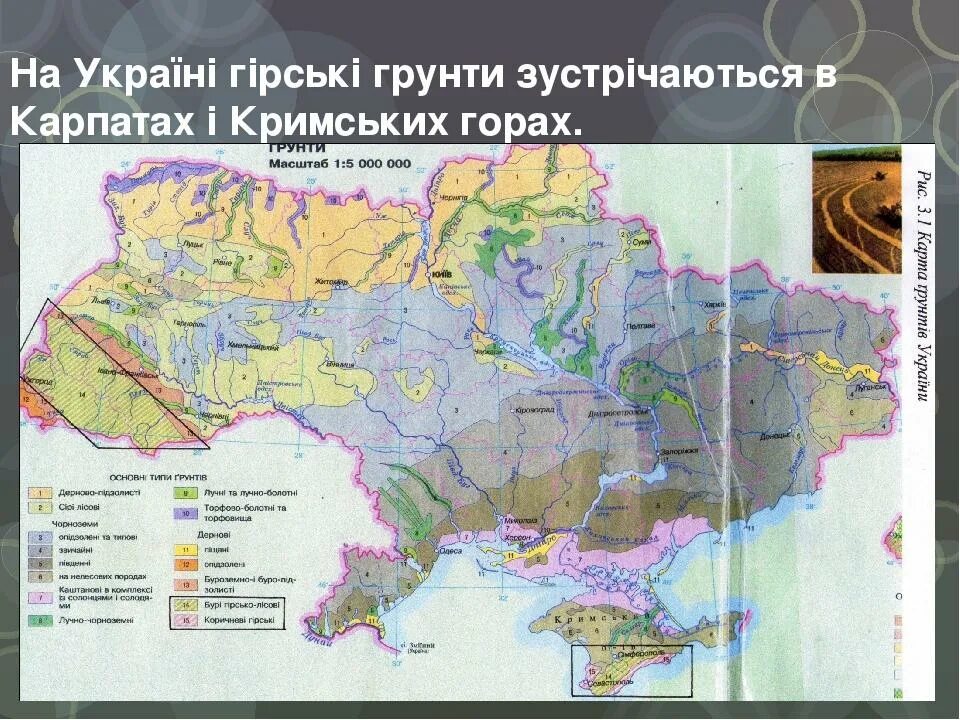 Степи украины на карте. Карта природных зон украины с областями. Степная зона украины на карте. Природні україна. Карта лесов украины.