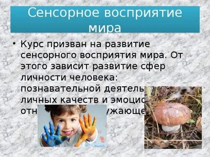 Сенсорное восприятие