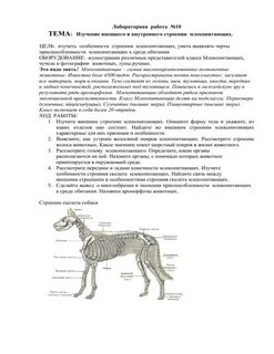Лабораторные млекопитающие