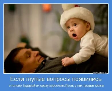 Глупый спрашивать