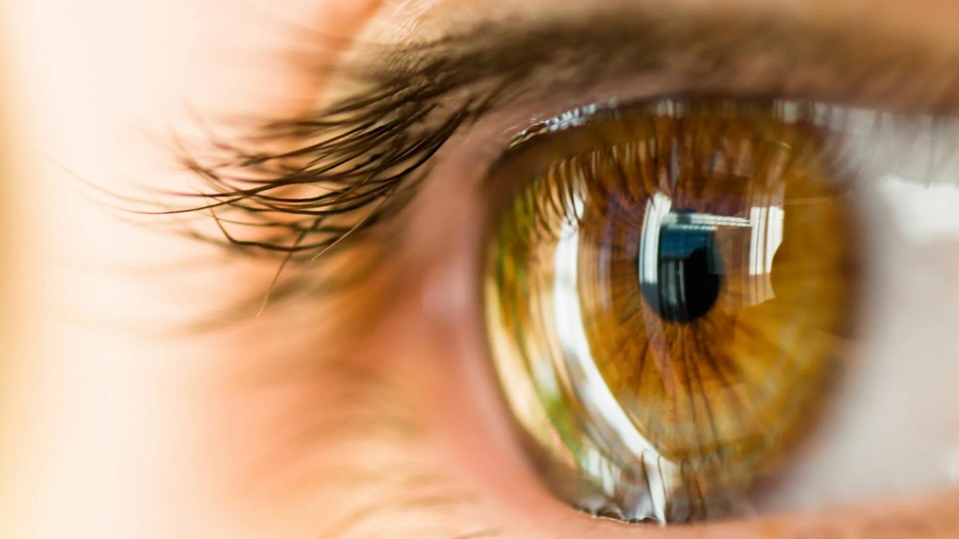 Eye center