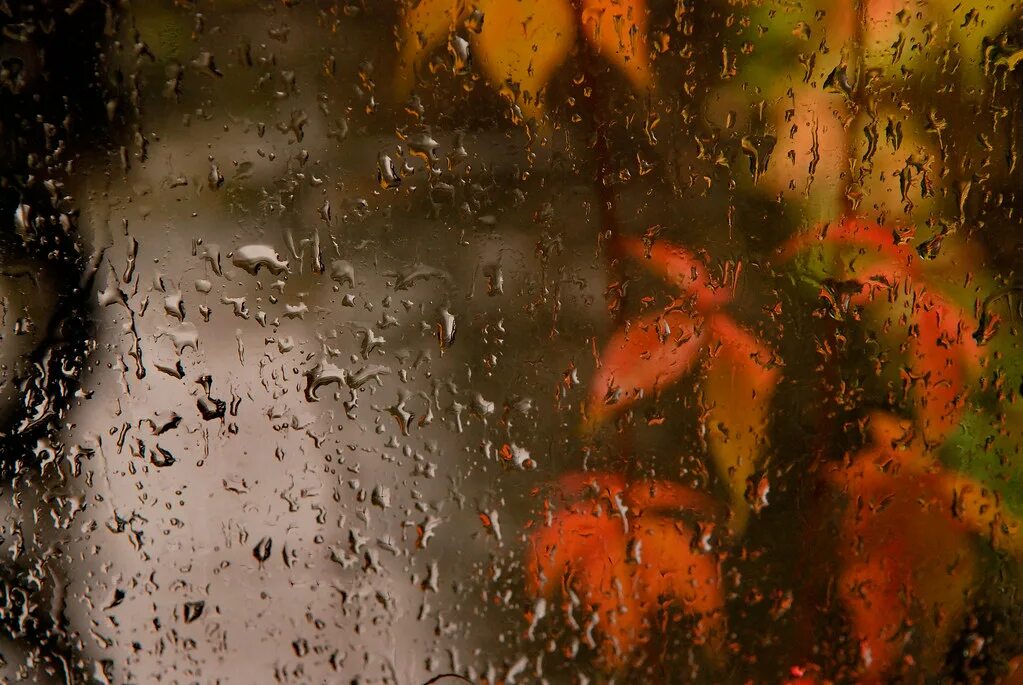 Капли дождя стучат. Капли на стекле. Осенний дождь. Осень дождь окно. Капли дождя на окне.