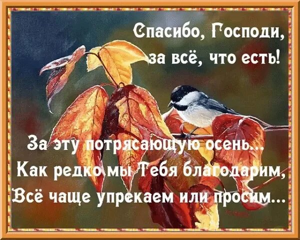 Спасибо господи что я такой аху песня. Спасибо господи. спасибо господи за осень. спасибо господи за день. спасибо господи за новый день.