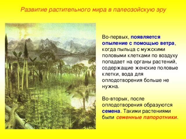 Каменноугольный период палеозойской эры. Протерозой эра. Каменноугольный период палеозойской эры растения. Девон период палеозойской эры. Палеозойская эра растительный мир.