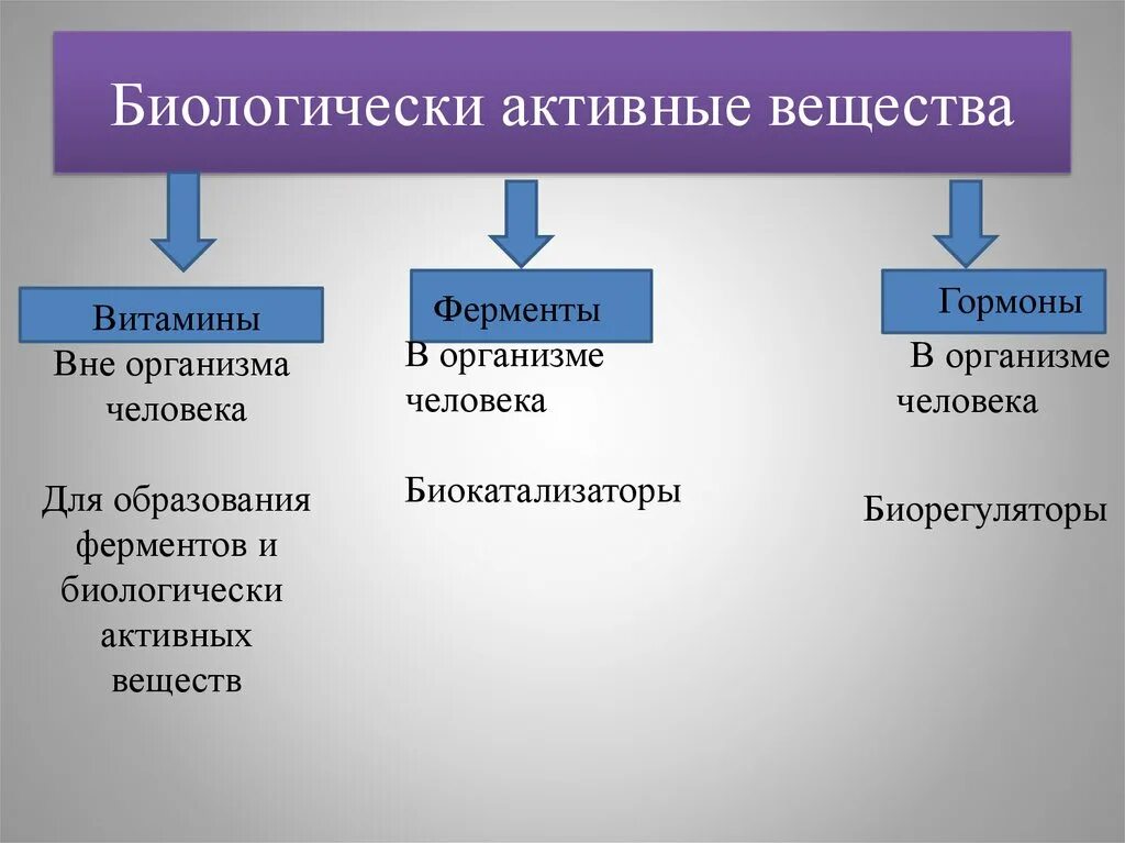 Биологически активные вещества. Биологичсекиактивные вещества. Биологически активные соединения. Классификация биологически активных веществ. В составе 3 активных