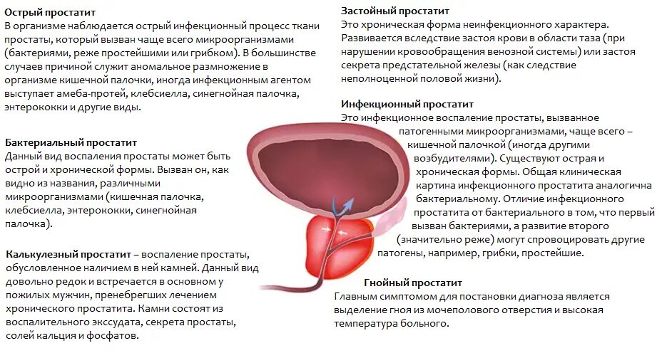 Простата кровотечение