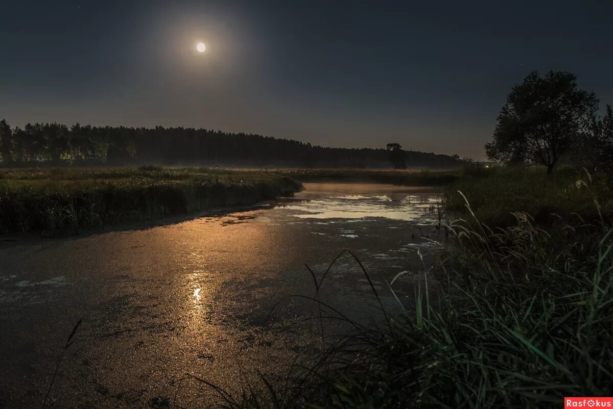 Река ночью. Летняя ночь. Пруд ночью. Лунная дорожка. Река ночью.