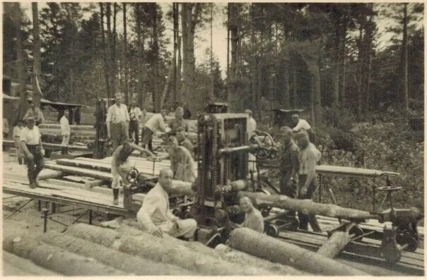 Пилорама Вышний Волочек. Пилорамы в 1903 году в Архангельске. Пилорама 1940 год. Старинная Лесопилка. Орда старой лесопилки