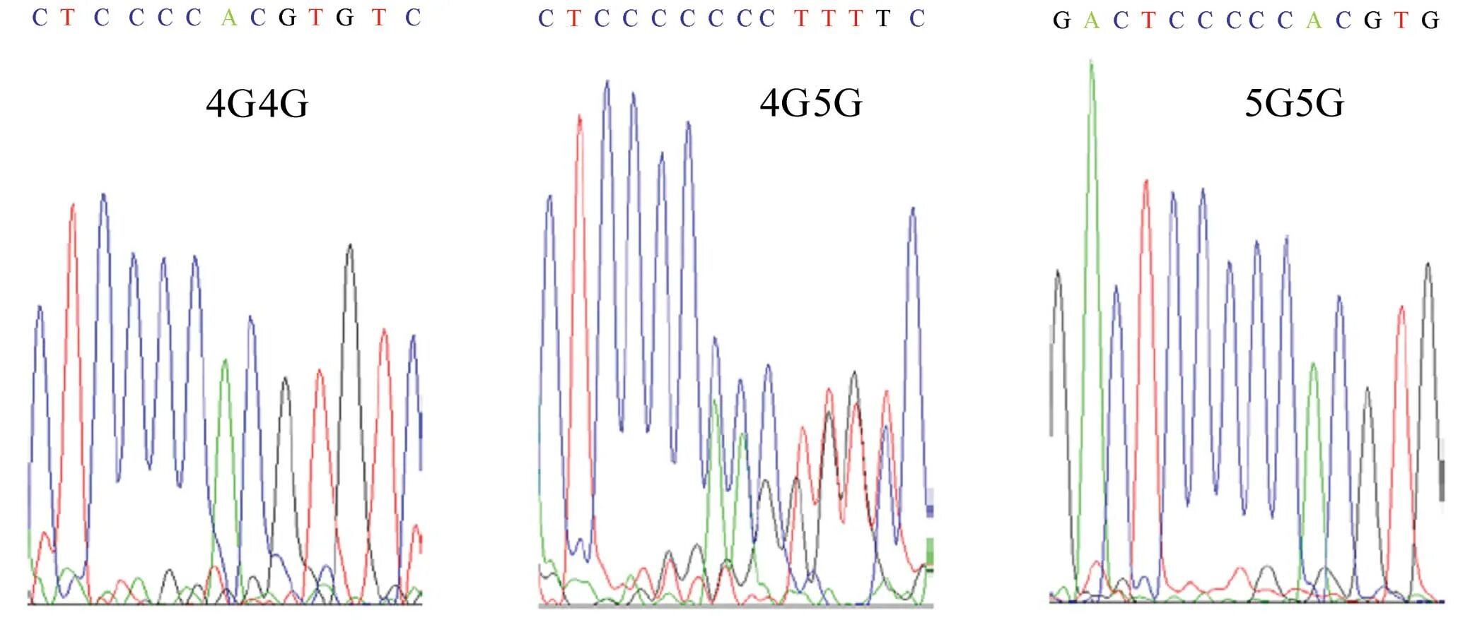 Pai 5g 4g. Pai 1 5g/4g. Pai1 4g/4g. Ген pai 1 5g/4g расшифровка. Ген pai 1 4g/4g что.