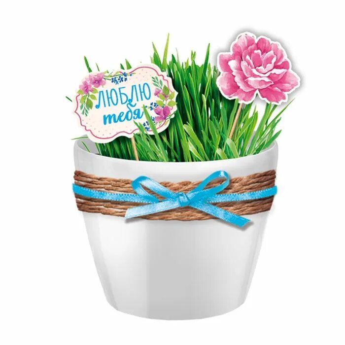 Горшочек семейного счастья. Цветы в горшочках в подарок. Подарок цветок в горшке с конвертом. Упаковка горшечных цветов в бумагу. Горшочек в подарок.