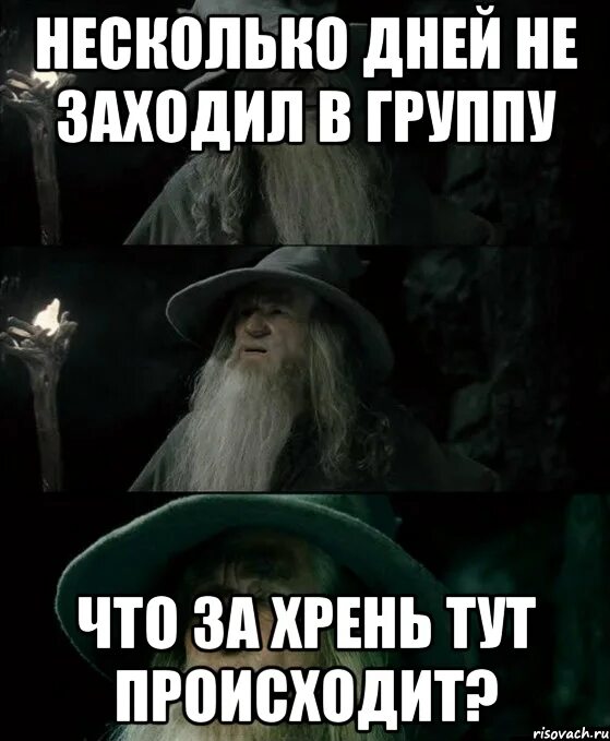 Что здесь происходит мем. Гэндальф заблудился. Что тут происходит. Гэндальф потерялся. Гэндальф заблудился Мем.