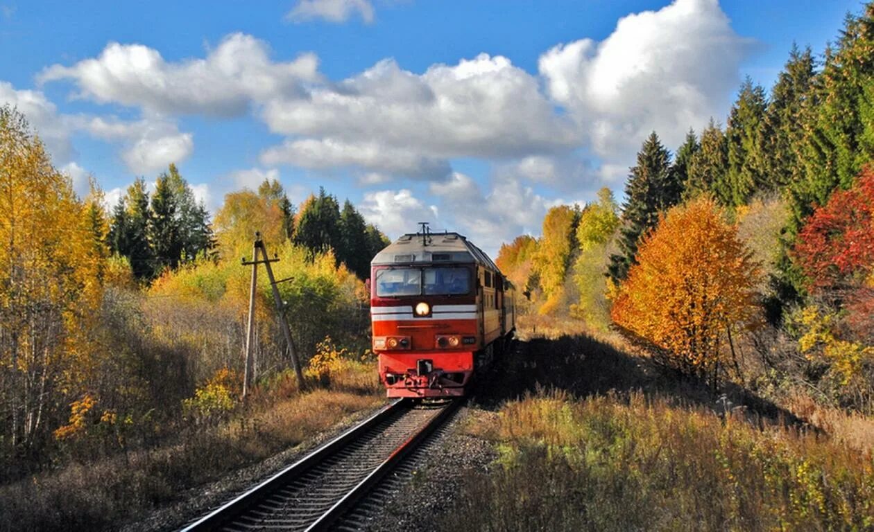 Железная дорога осень. Поезд осень. Пейзаж с железной дорогой. Красивый поезд.