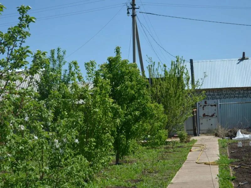 Сады иваново отзывы. Ивановские сады Оренбург. Дача Оренбург. Ивановка Садовая 50 Оренбург. Оренбург Ивановка линейная 6.