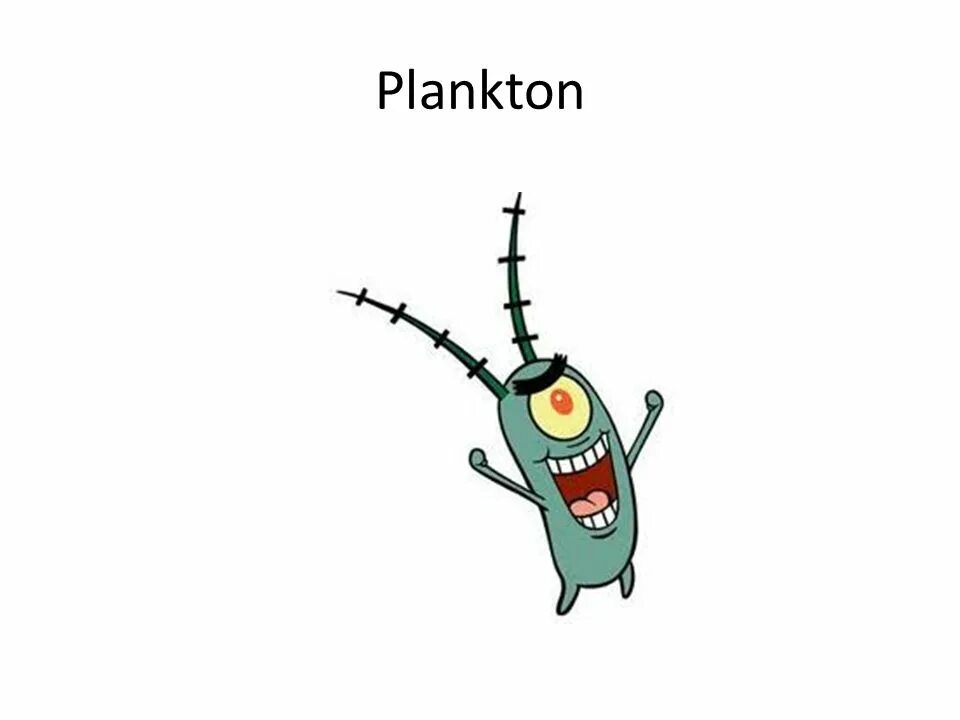 Плактон. Мистер планктон. Планктон Спанч Боб. Губка Боб персонажи планктон. Планкеон.
