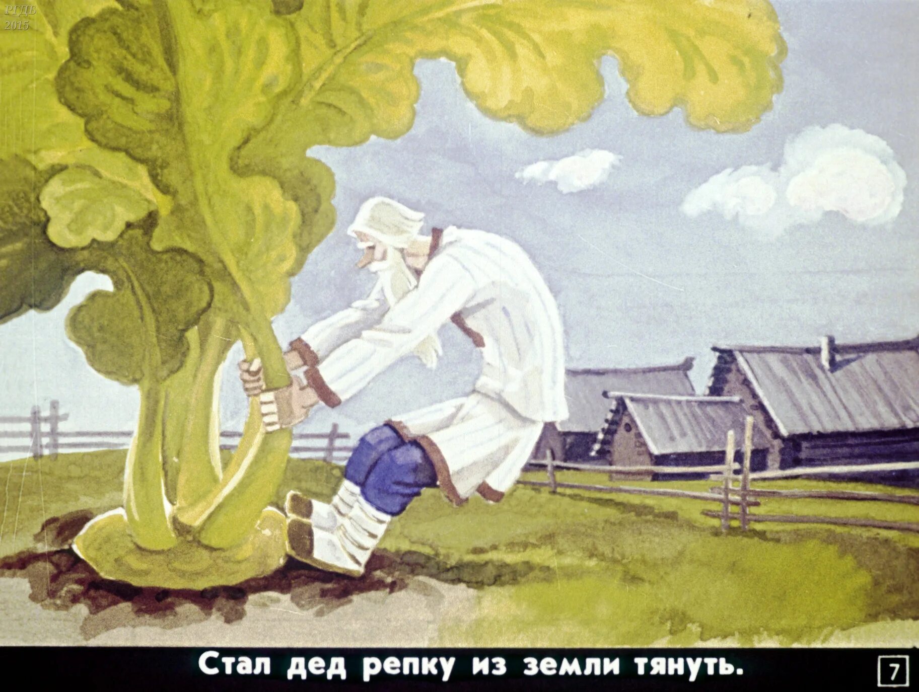 Тянем потянем. Русско народные сказки репка. Диафильм "репка". Герои репки дед. Дед потянуть.