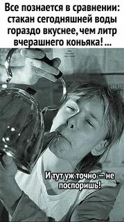Что дружба легкий пыл похмелья