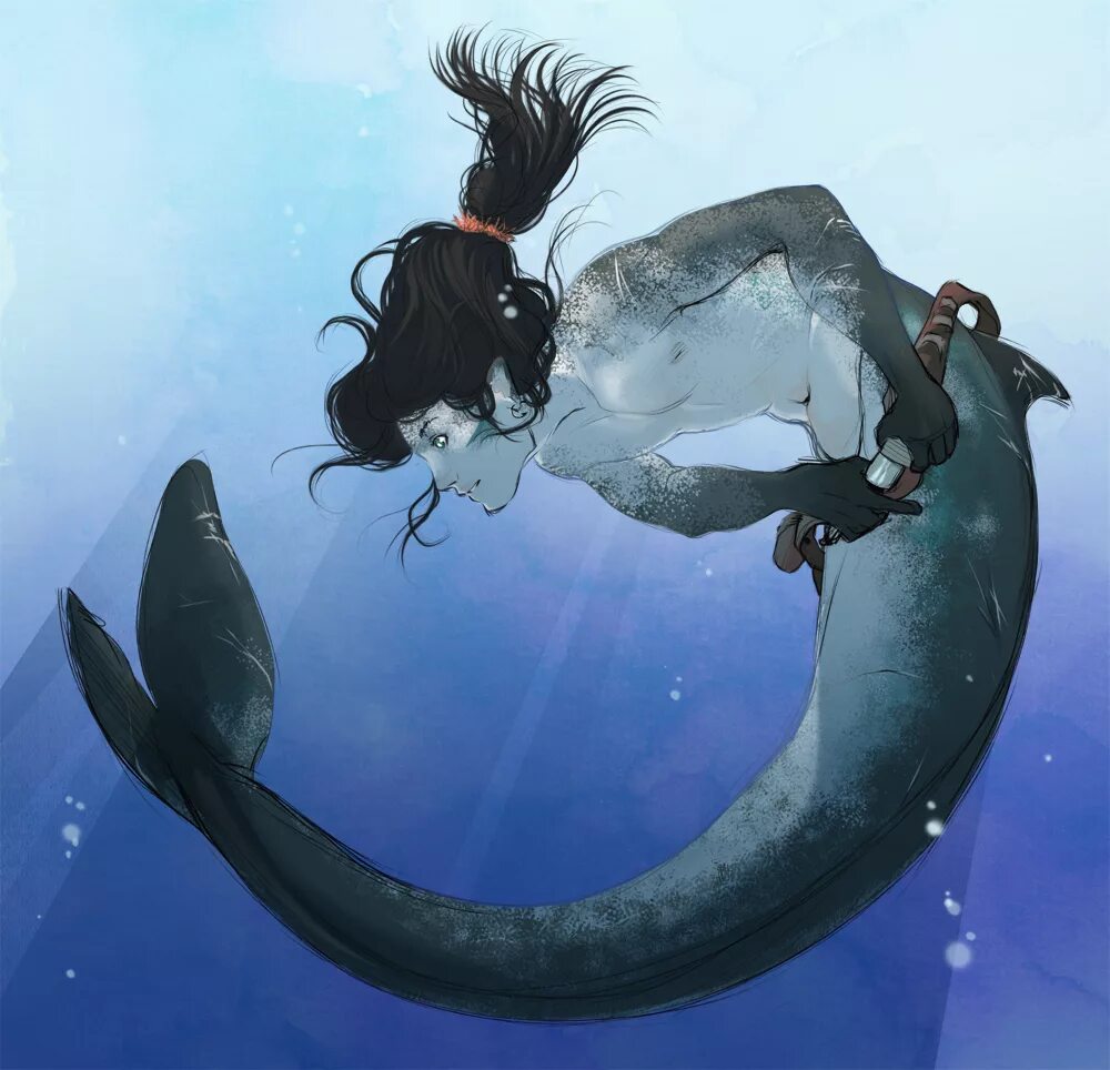 Касатка в сравнении с человеком. Сравнительные размеры китов и человека. Размер кита в сравнении с человеком. Русалка касатка. Русалка арт.