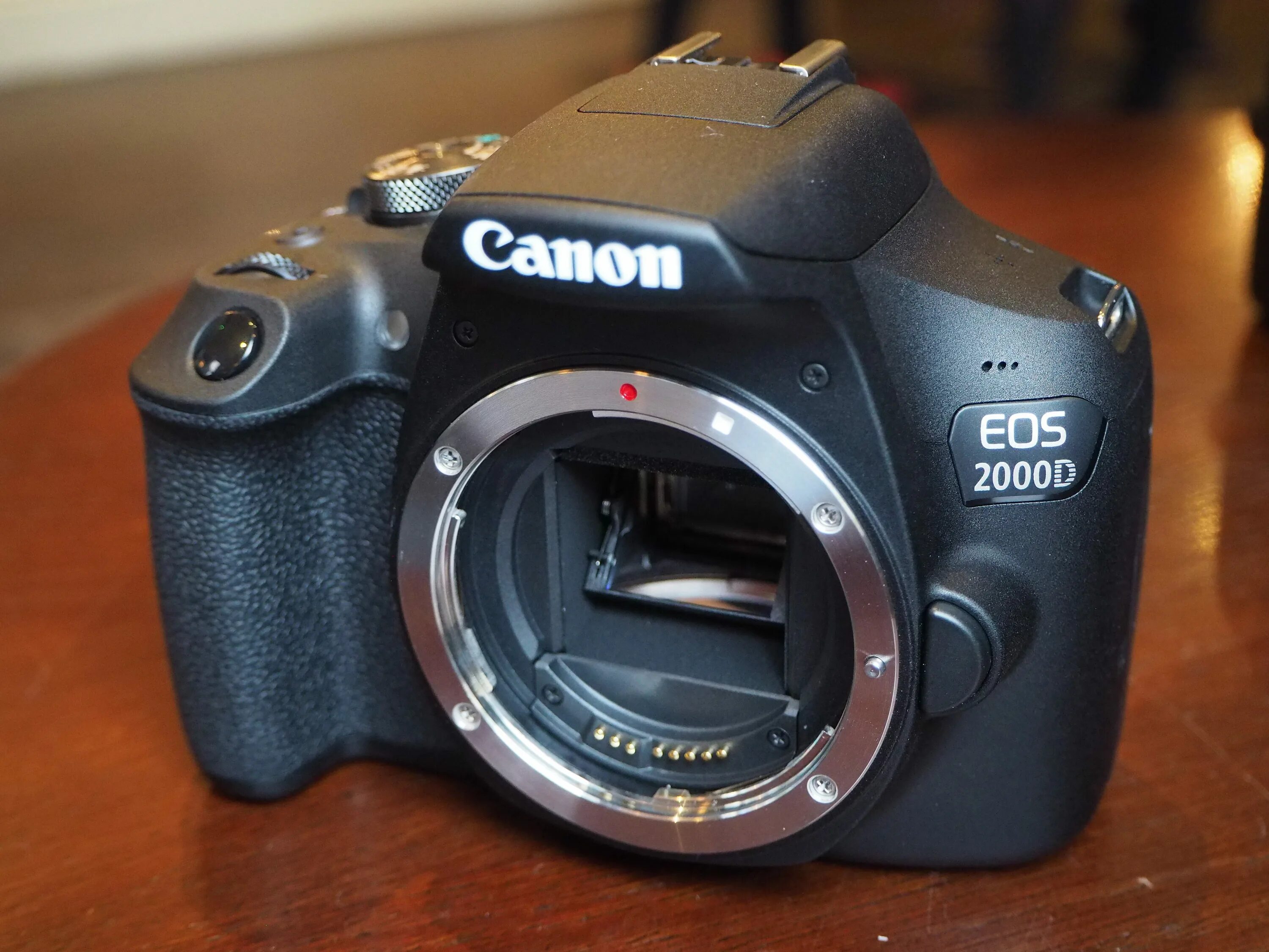 Canon d купить. Canon EOS 2000. Кэнон ЕОС 2000д. Canon EOS 2000d DSLR. Nikon d2000.