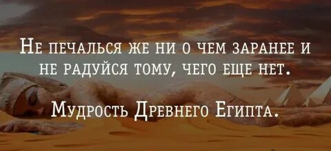 Мудрости жизни опыт