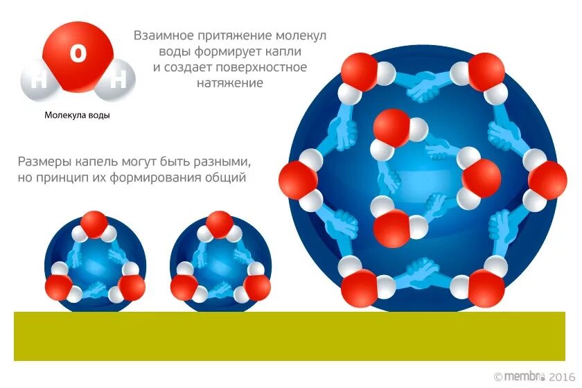 Молекула воды. Притяжение молекул воды. Размер молекулы воды. Размер молекулы воды и воздуха. Воздух в сравнении с водой