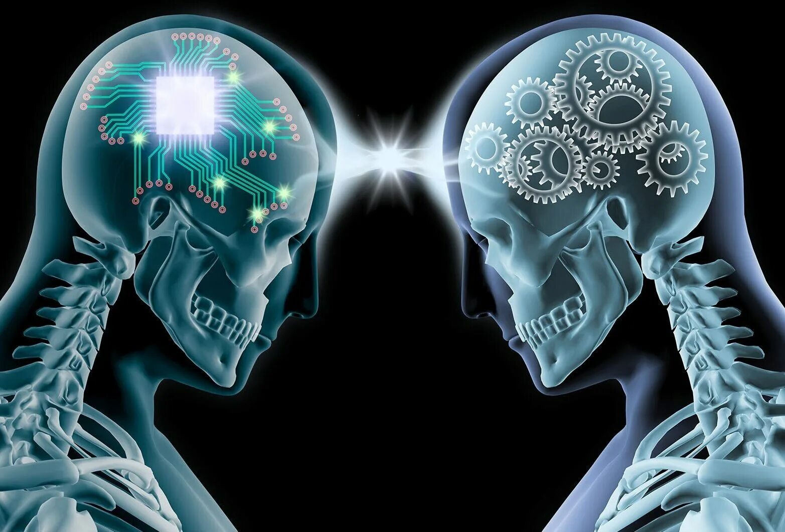 Функциональная неврология - Хосе Паломара. Два мозга. Сознание человека. Мы видим мозгом