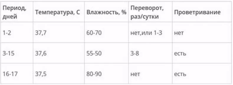 Режим инкубации перепелов. Таблица вывода перепелиных яиц в инкубаторе. График инкубации перепелов яиц таблица. Температурный режим в инкубаторе для перепелиных яиц. Температурный режим для вывода перепелов в инкубаторе.