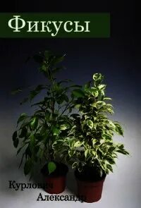 Фикусы книга