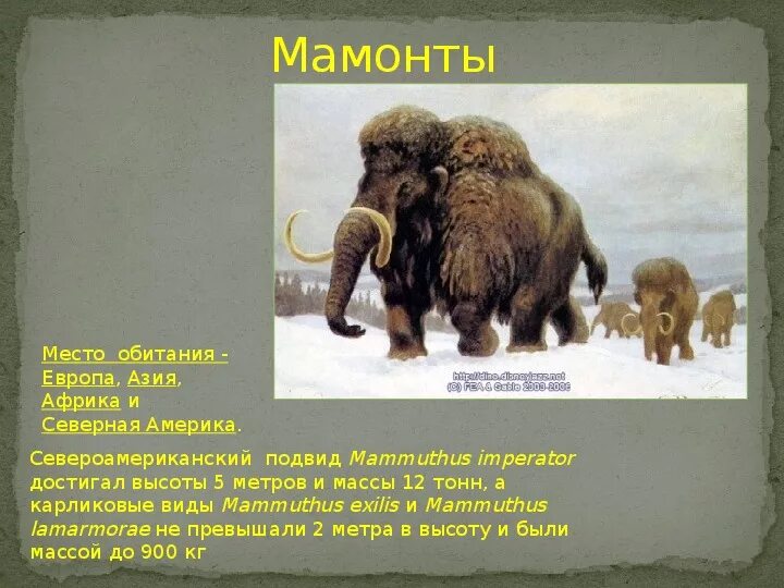 Песня мамонтенка текст. Мамонтёнок текст. Текст песни мамонт. Текст песни мамонтенка. Текст песни мамонт.