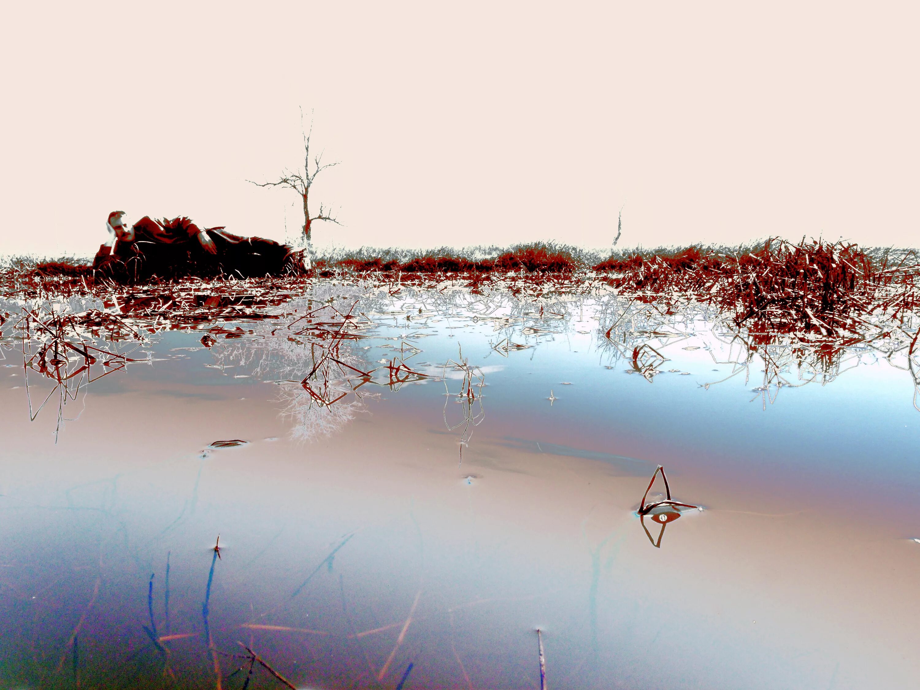 Озеро муху. Озеро Муха. Озеро мух Америка. Озеро мух США.
