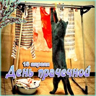 День прачечной