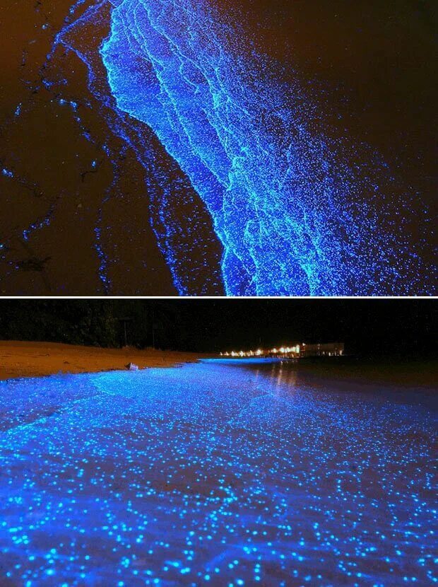 Светящаяся вода ночью. Ваадху Мальдивы. Атолл Ваадху Мальдивы. Пляж Ваадху Мальдивы. Остров Ваадху, Мальдивы. Планктон.