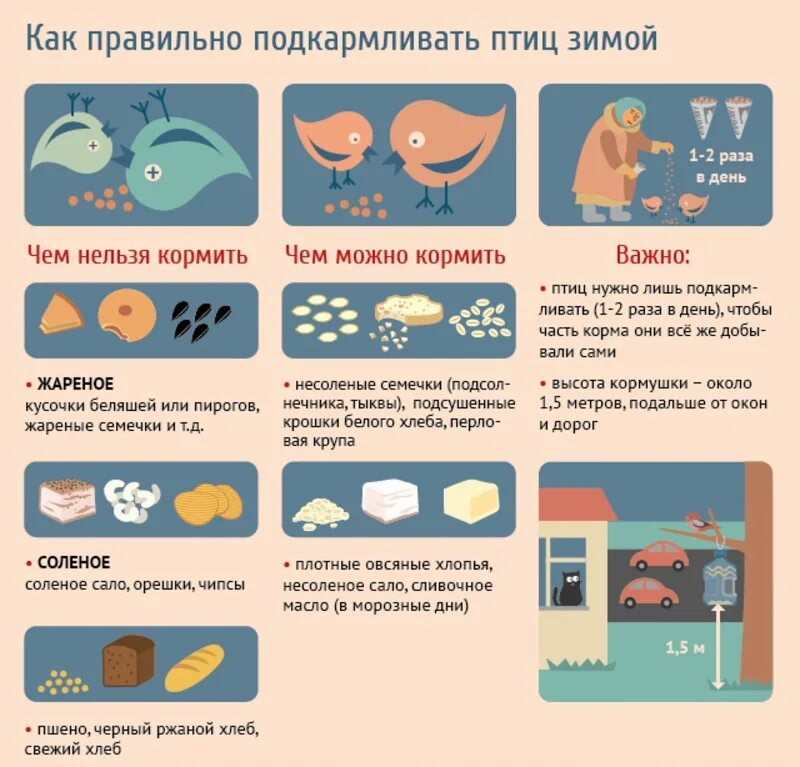 Чем можно кормить птиц зимой. Памятка чем кормить птиц. Чем нельзя кормить птиц зимой. Памятка как кормить птиц зимой. Сливочное масло птицам