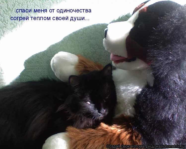 Зима в душе. Согрел одинокую. Парень душит себя в снегу. Объятия на ночь. Согрей меня своим теплом.