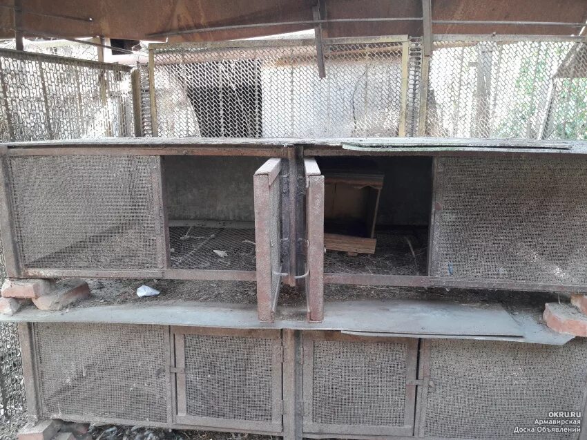 Поилка для нутрий. Клетки для нутрий. Клетка с вольером для нутрий. Домик для нутрий. Двухъярусные клетки для нутрий.